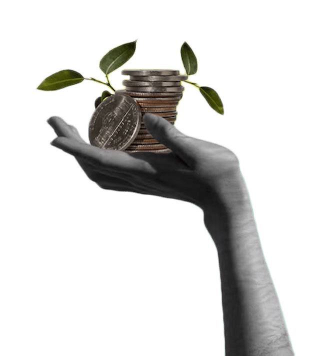 A hand holding coins and leaves