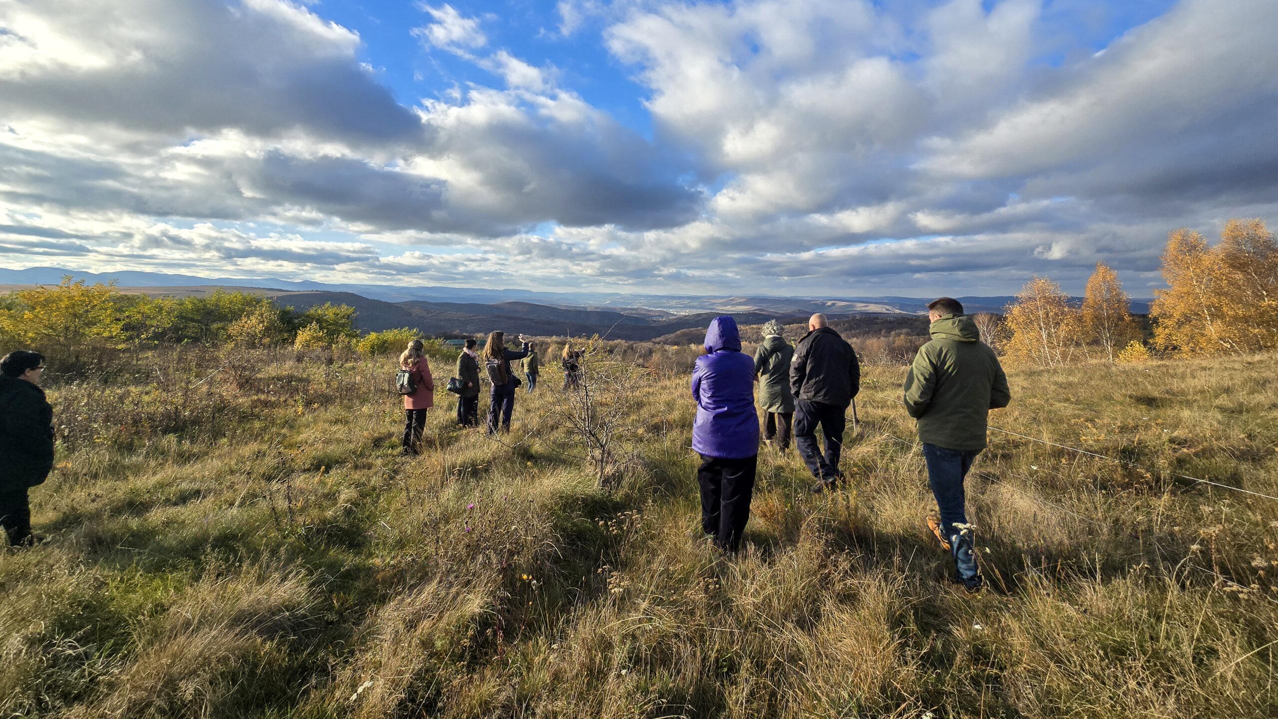 Group of people walking through a grassy hillside landscape and distant mountains in the background.