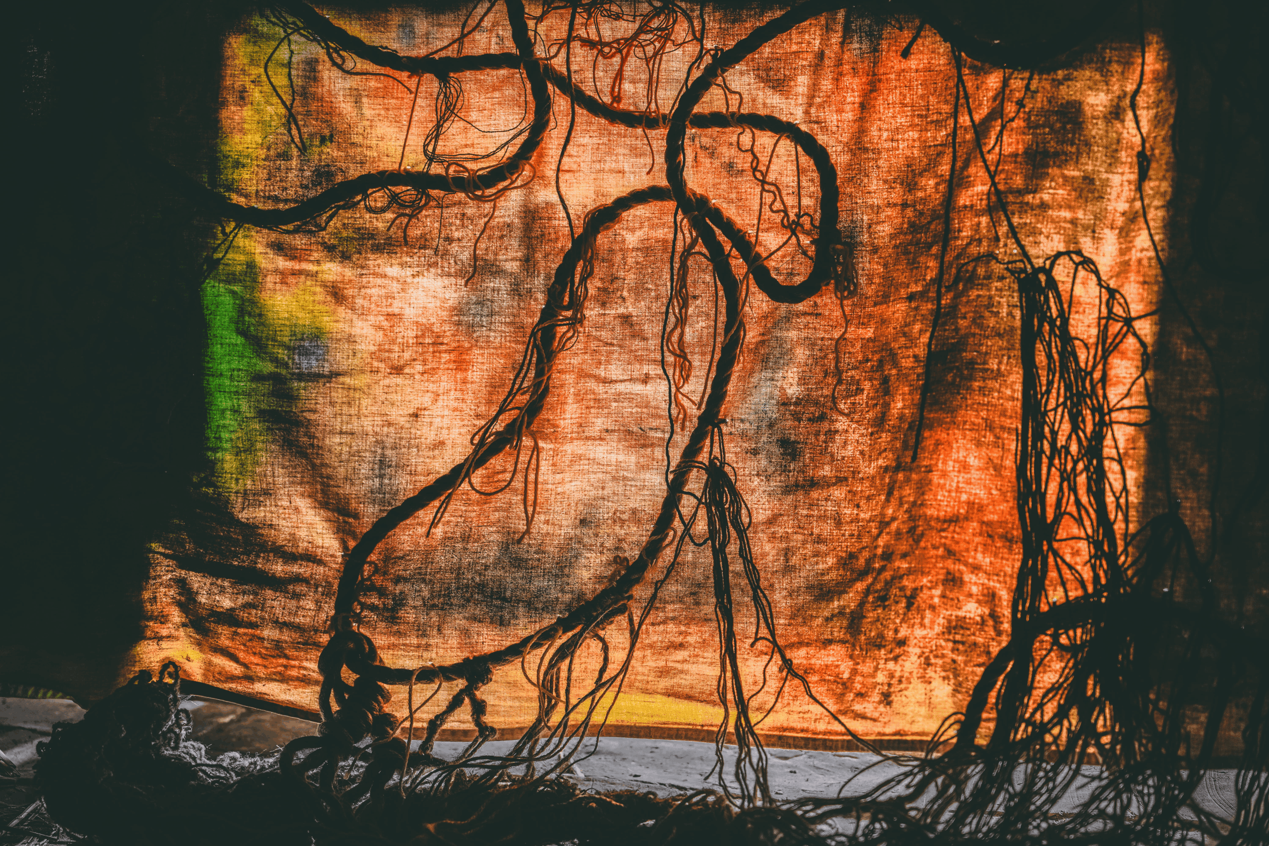 Art of Soil_SoilTribes_13