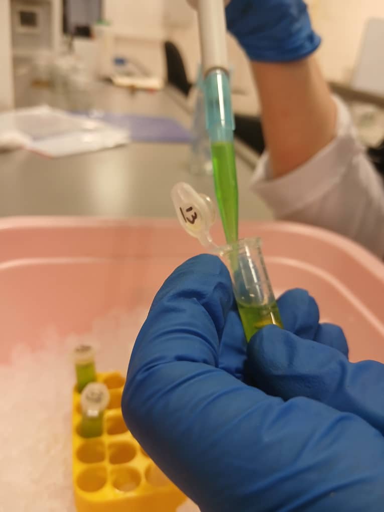 BioPalette_BioExtract_Pipetting_Process_4