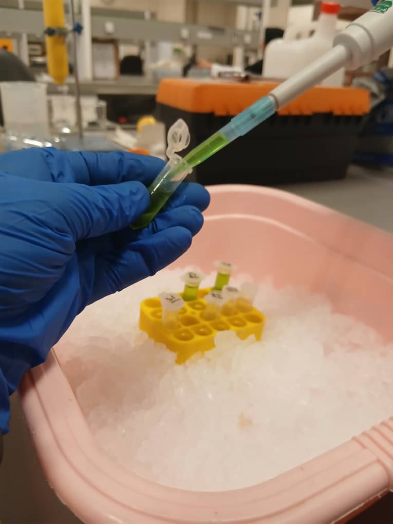 BioPalette_Green_Extract_Handling_On_Ice_2