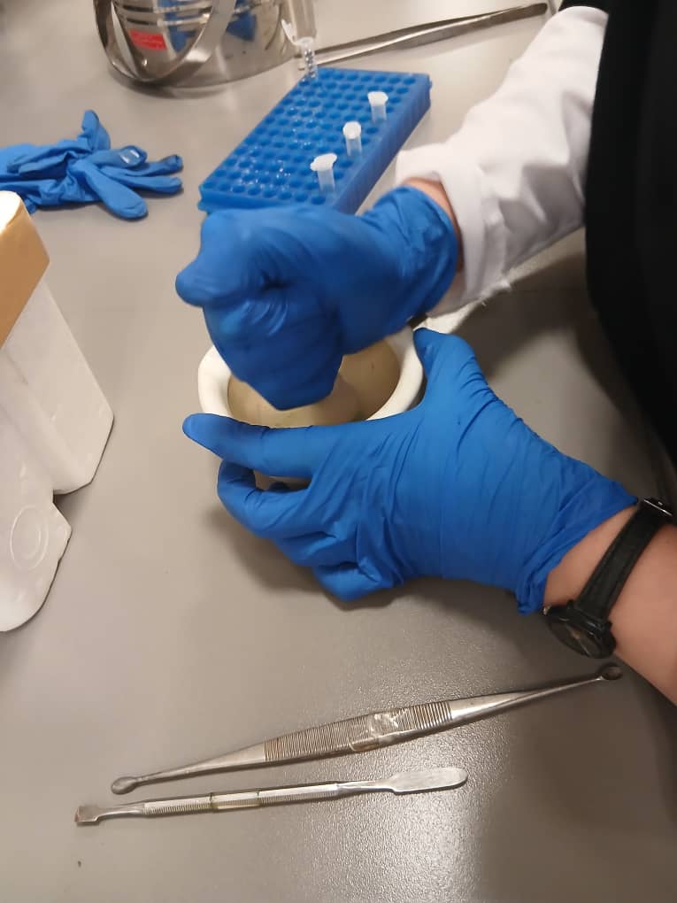 BioPalette_Material_Preparation_1