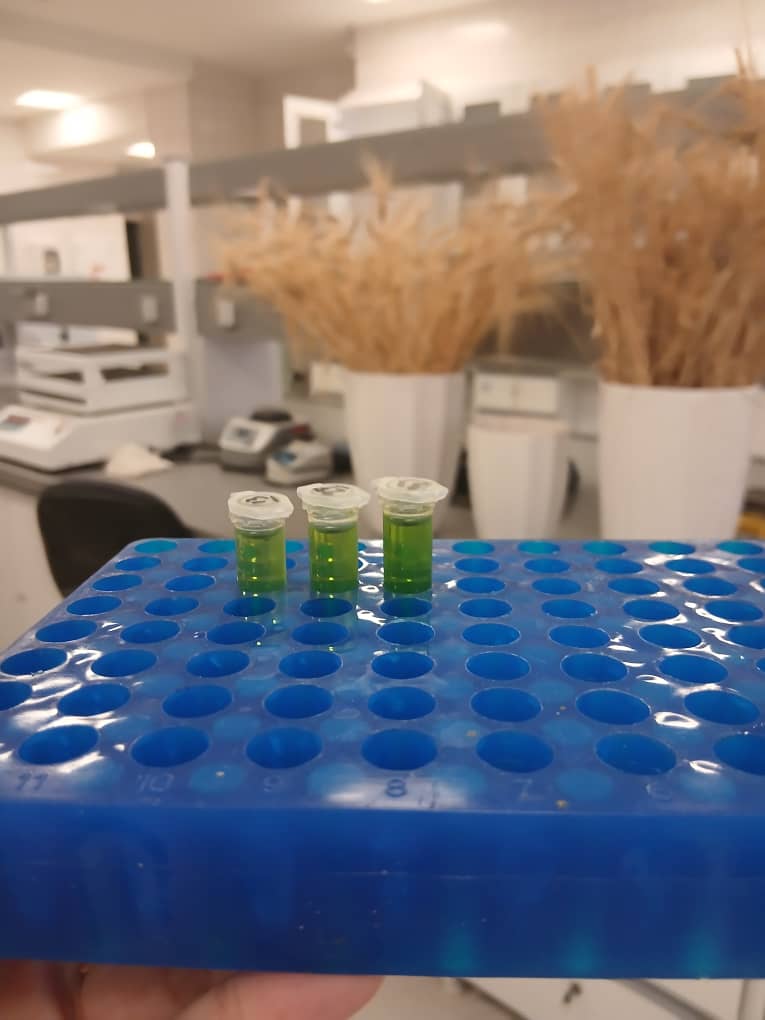 BioPalette_Pigment_Samples_With_Plant_5