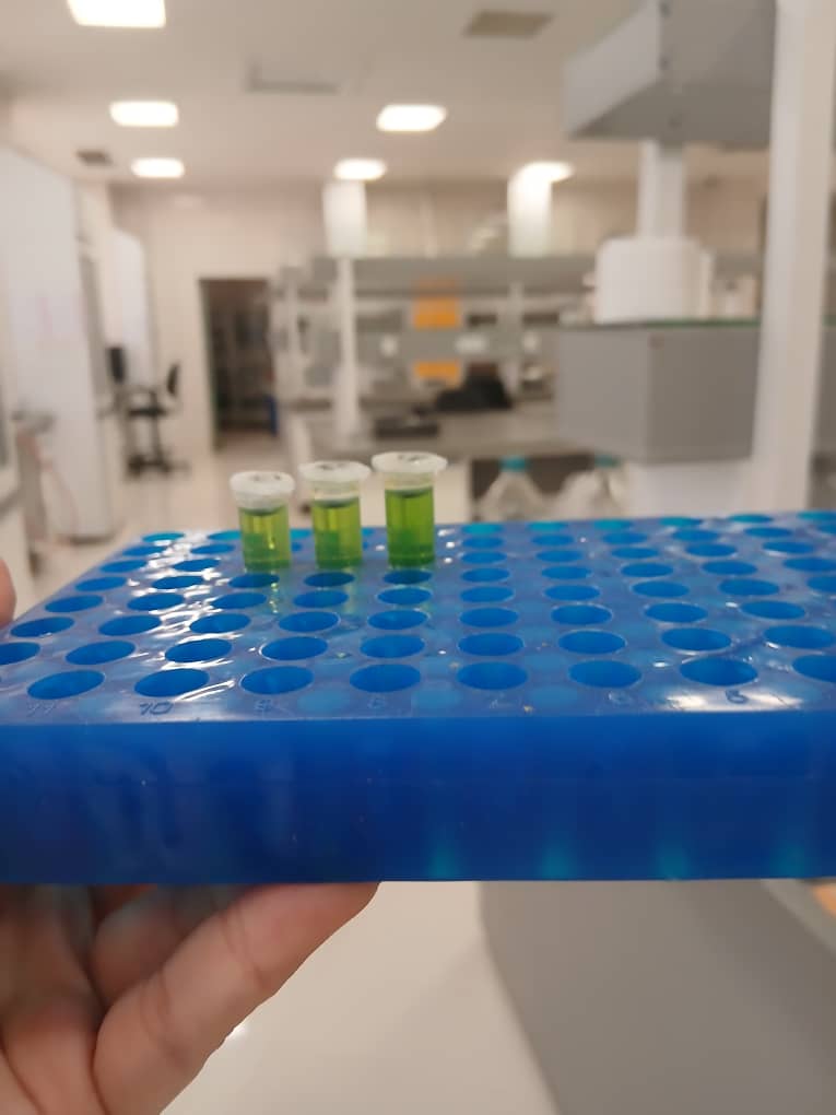 BioPalette_Sample_Vials_Lab_Setup_6