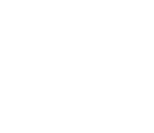 Logo_FS_White