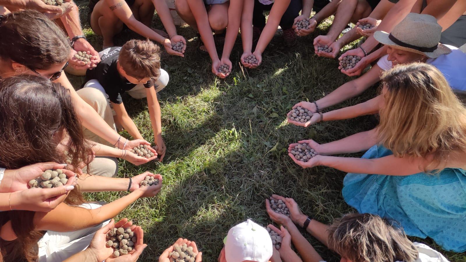 Seedball Festival 2