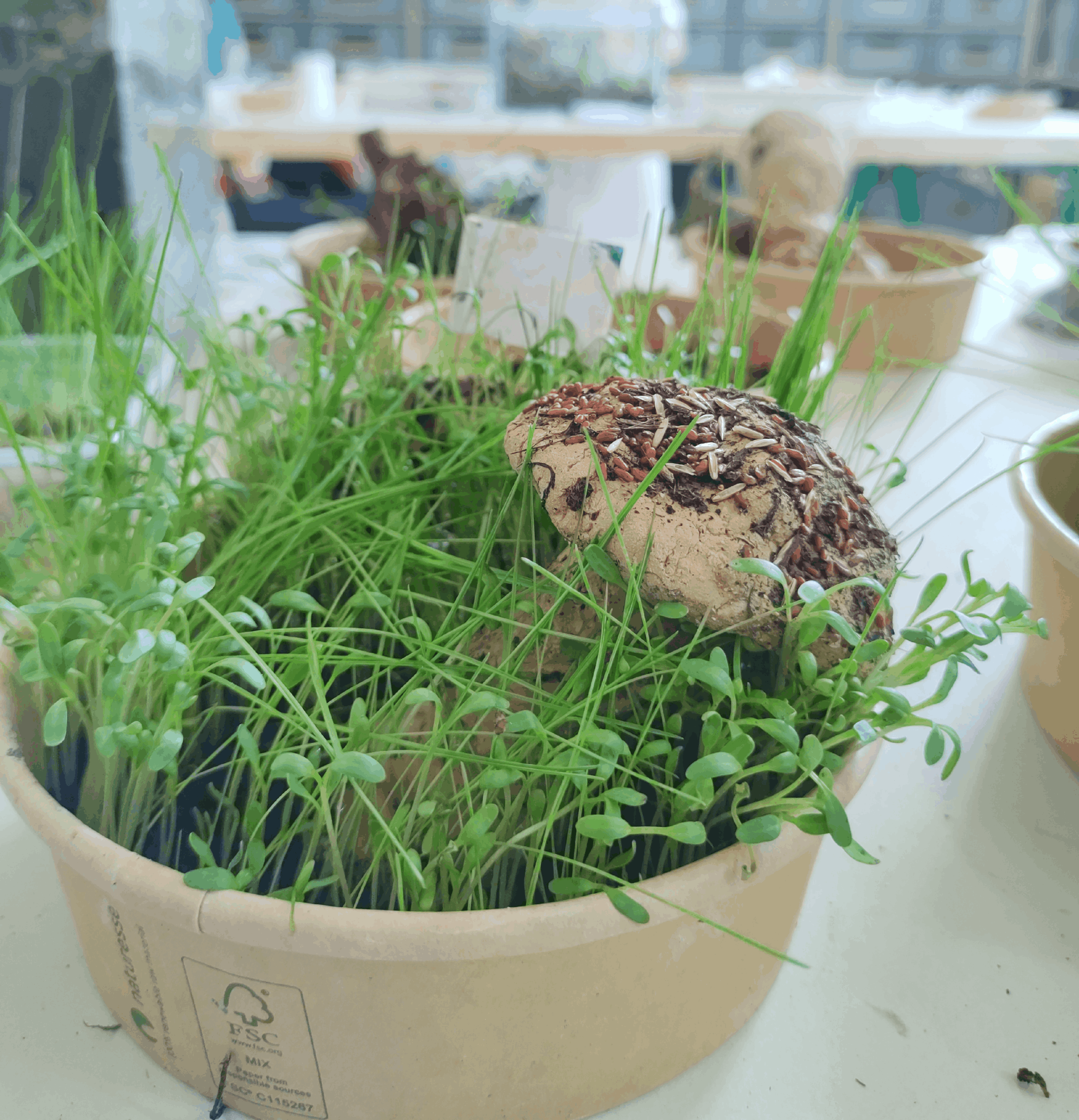 SoilStory Gallery