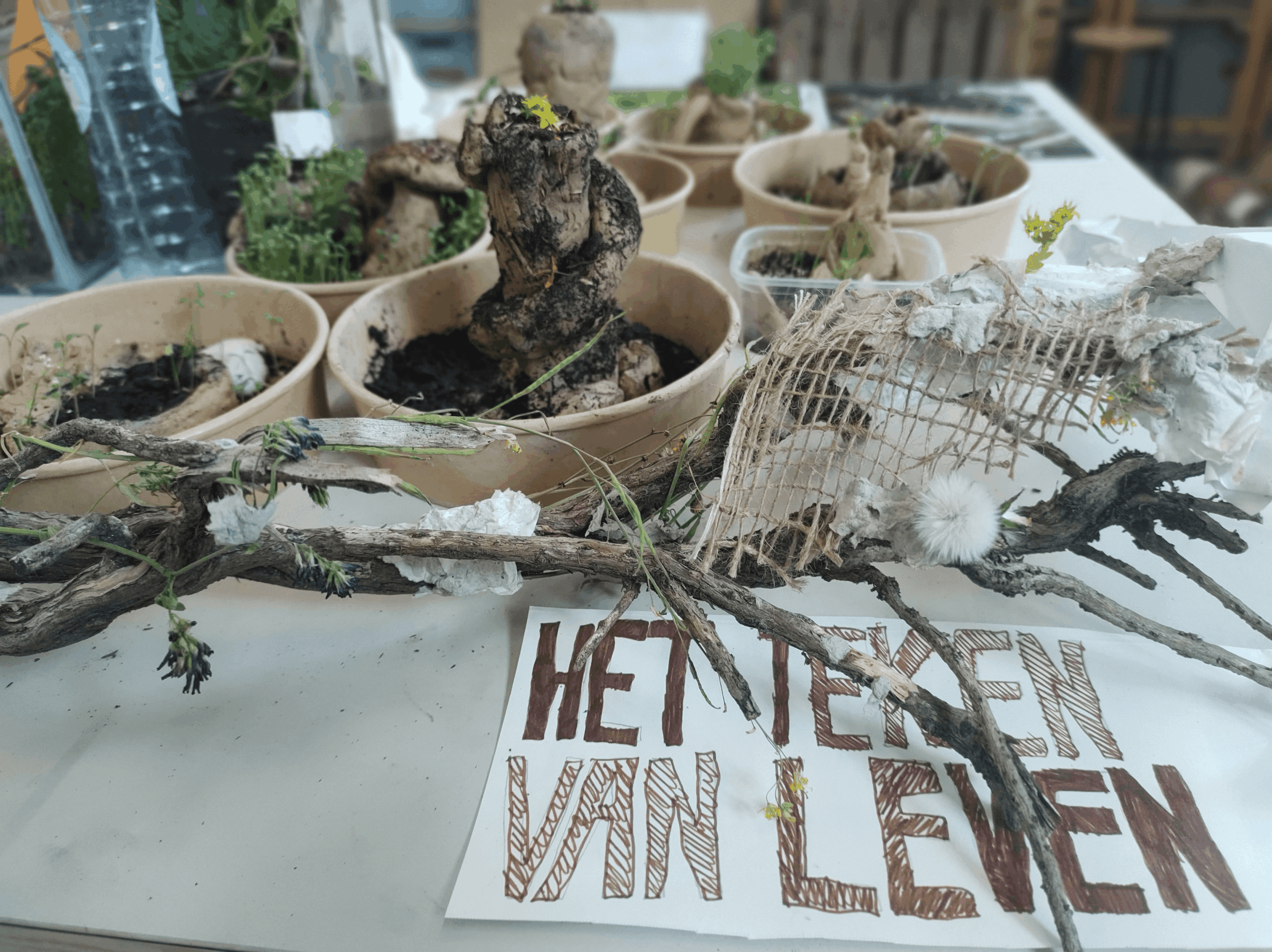 SoilStory Gallery(2)