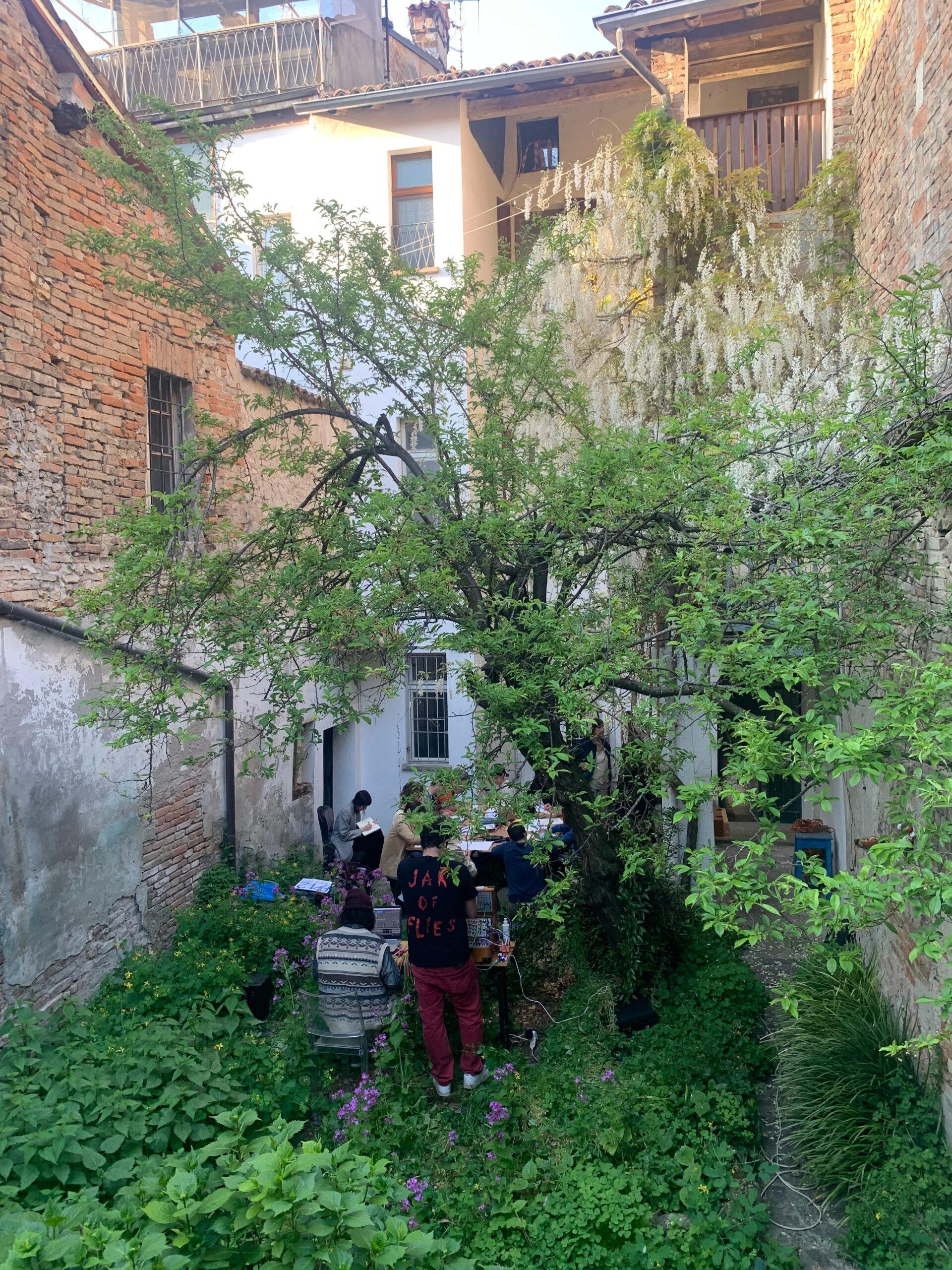 natural music – participatory event