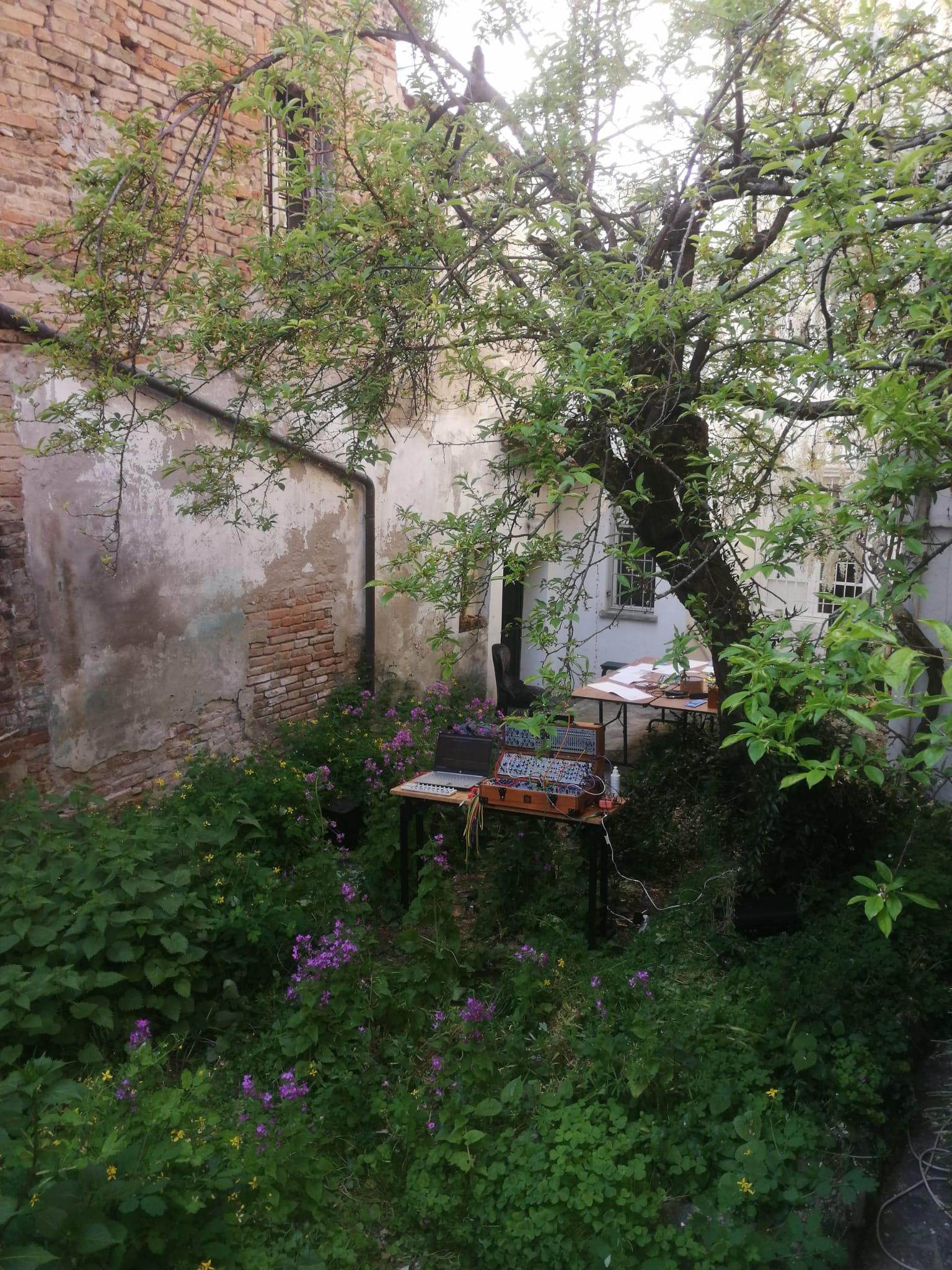 nature-inspired-music